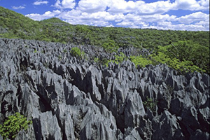 Tsingy formations, Madagascar